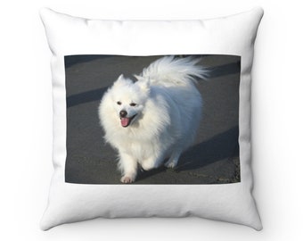 Tuktu Eskimo Canvas Pillow Kit