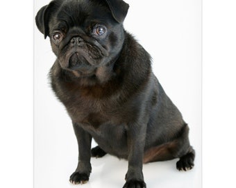 pug blankets for sale