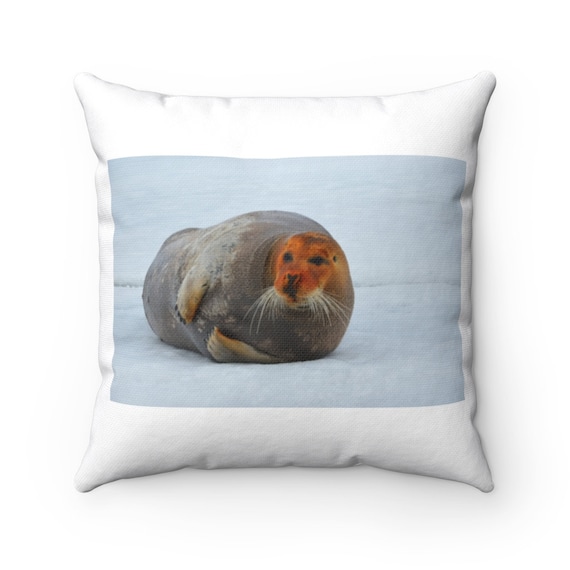 Almohada de foca barbuda Almohada de tiro de foca barbuda Almohada