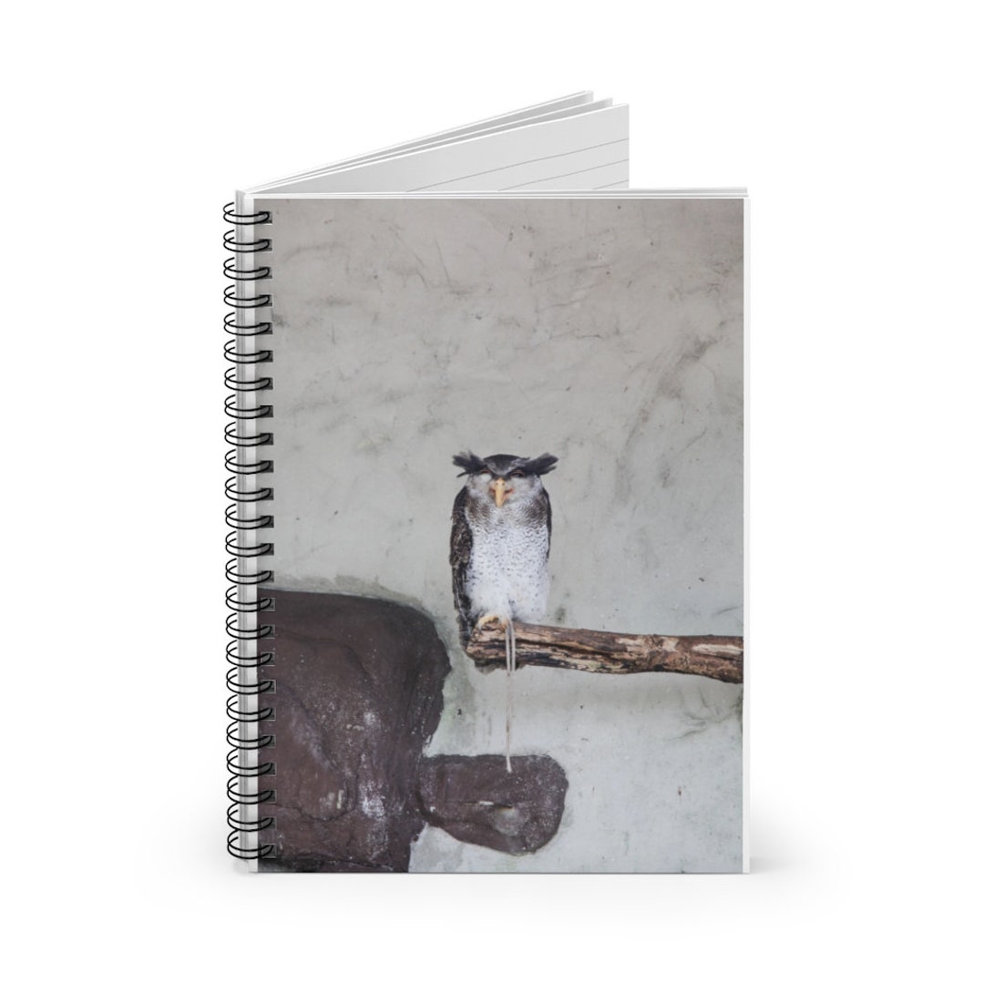Barred Malay Eagle Owl Notebook Barred Malay Eagle Owl - Etsy