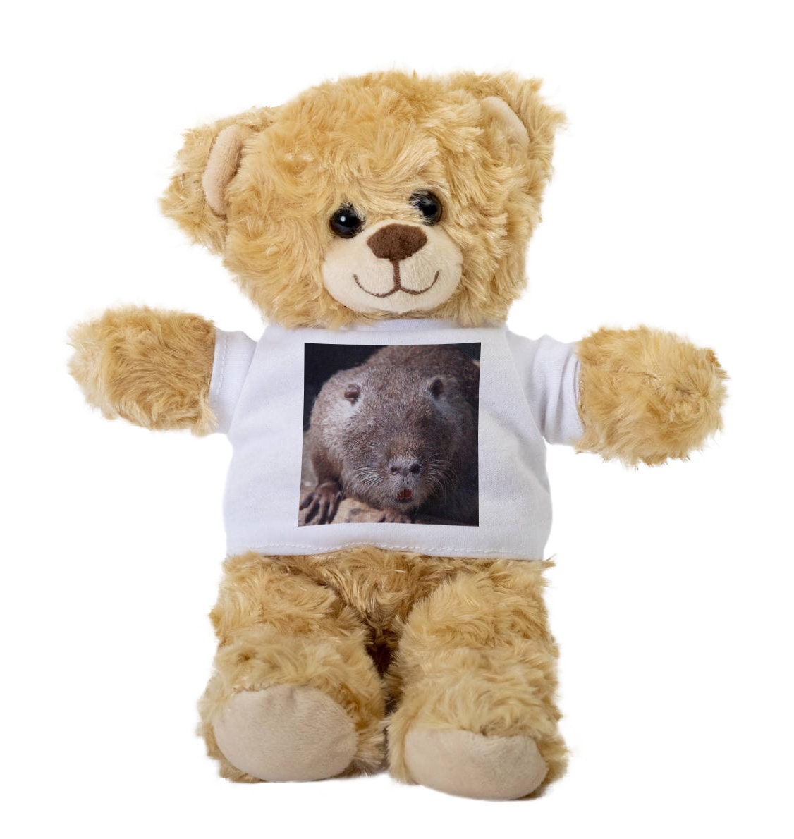 Peluche De Nutria, Animales De Peluche Lindos Suaves, Peluche De