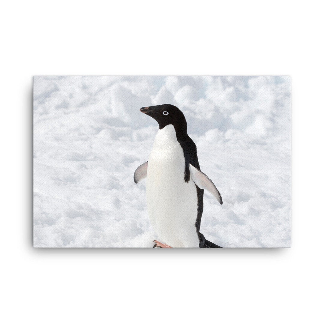 Bumbleboo Baby Penguin Nursery Wall Prints Playroom Produktbild-Vorschau 4