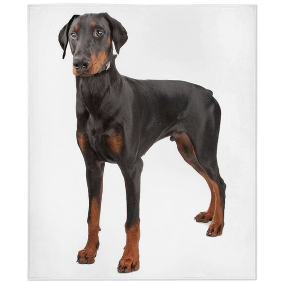 Doberman blanket best sale