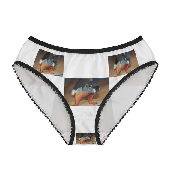 Prevost's Squirrel Panties, Prevost's Squirrel Underwear, Briefs, Cotton  Briefs, Funny Underwear, Panties for Women -  Denmark