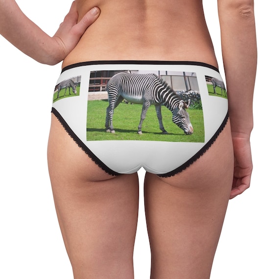 Zebra Panties, Zebra Underwear, Briefs, Cotton Briefs, Funny Underwear,  Panties for Women -  Canada