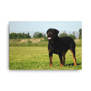 Rottweiler Canvas, Rottweiler Wall Canvas Print, Rottweiler Decor, Portrait, Wall Art, Artwork Wall Hanging