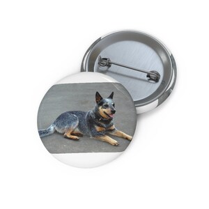 May include: A blue heeler dog with a brown and white coat is lying on a gray concrete surface. The dog is looking to the right of the image and has its tongue sticking out.