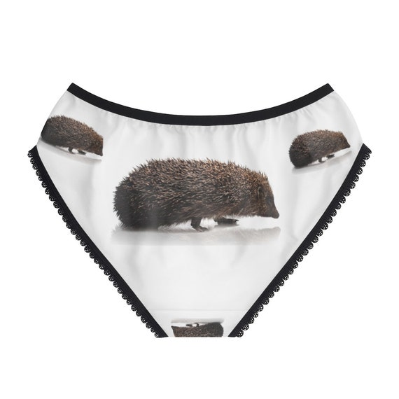Hedgehog Isolated Panties, Hedgehog Isolated Underwear, Briefs, Cotton  Briefs, Funny Underwear, Panties for Women -  Canada