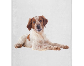 stuffed brittany spaniel