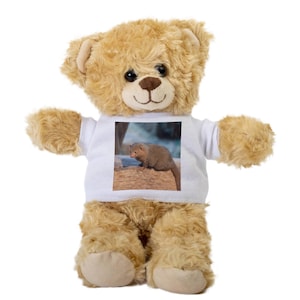 Mongoose Teddy Bear, Gift Stuffed Animal, Plush Teddy Bear with Tee, Welcoming Baby Gift, Gift For Her, Gift For Newborn