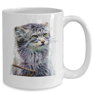 Pallas cat mug, pallas cat coffee cup, pallas cat kitchen decor,funny mug,gift idea