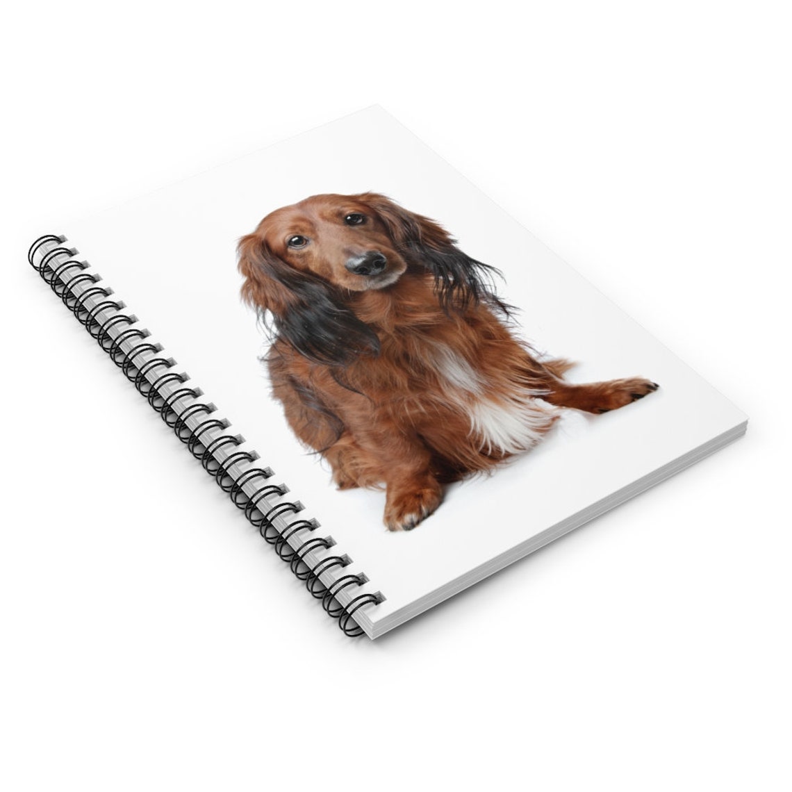 Dachshund Notebook Dachshund Journal Ruled Line Pages Etsy