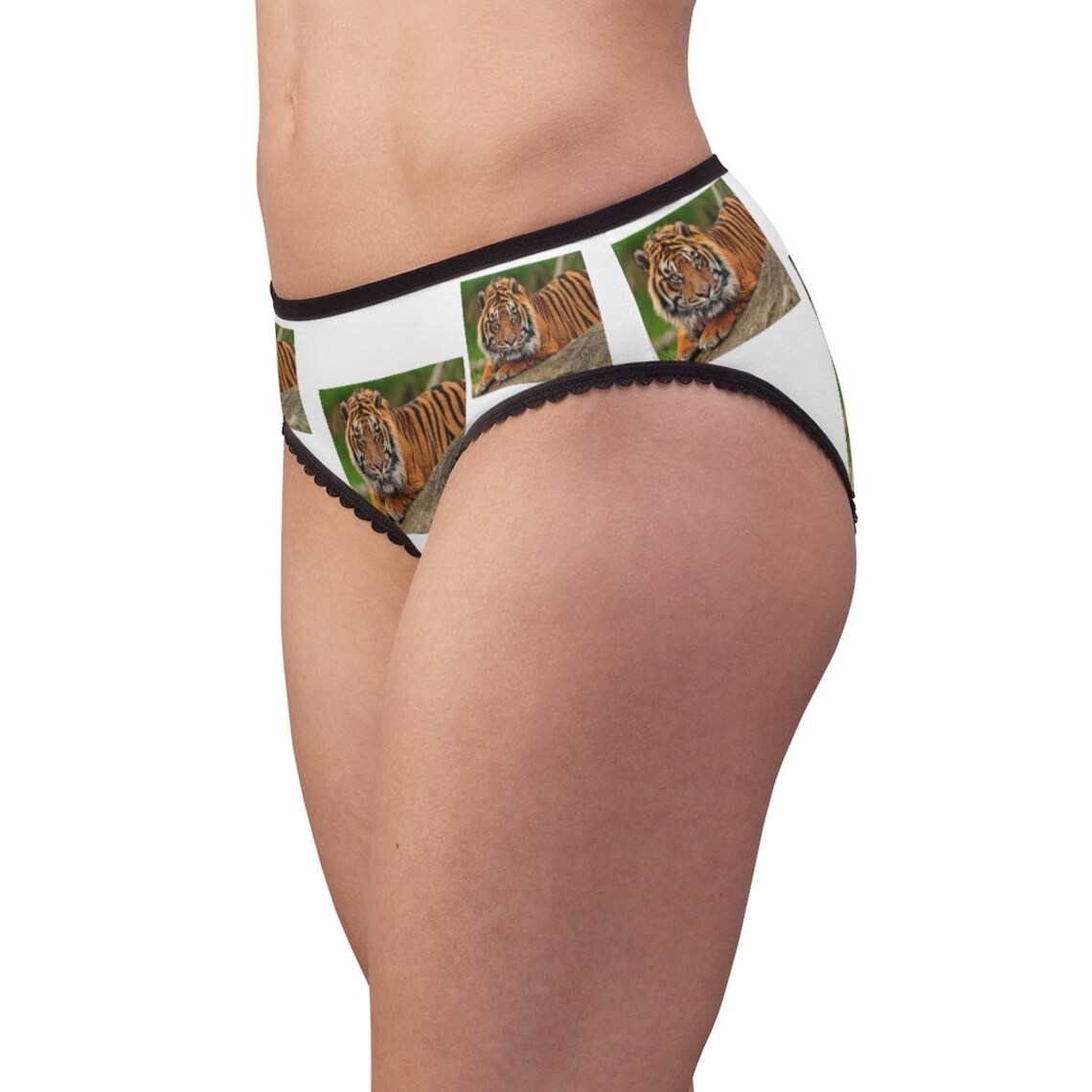 Sumatran Tiger Panties Sumatran Tiger Underwear Briefs Etsy