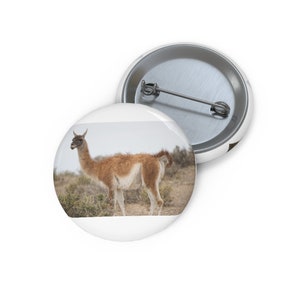 May include: Two white round buttons. The front button features a photo of a llama standing in a field. The llama has brown and white fur. The second button is partially visible and has a silver pin on the back.