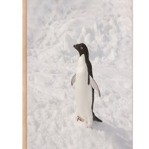 Cahier de pingouin, Journal de pingouin, Pages de lignes lignées, idée cadeau, Journal de gratitude, livre de mémoire, Journal en similicuir