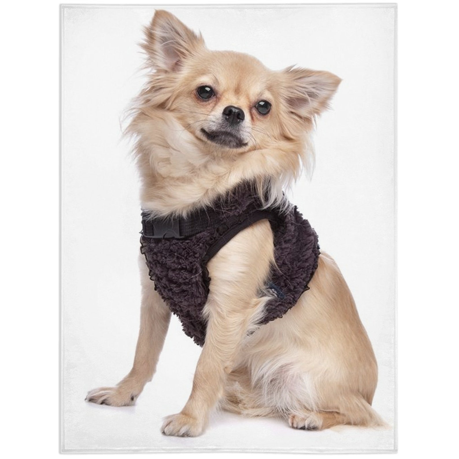 Chihuahua 1 Blanket Chihuahua 1 Lover Gift Fleece Blanket Etsy