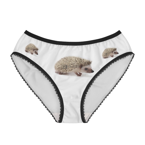 Hedgehog Panties,hedgehog Underwear, Briefs, Cotton Briefs, Funny Underwear,  Panties for Women 