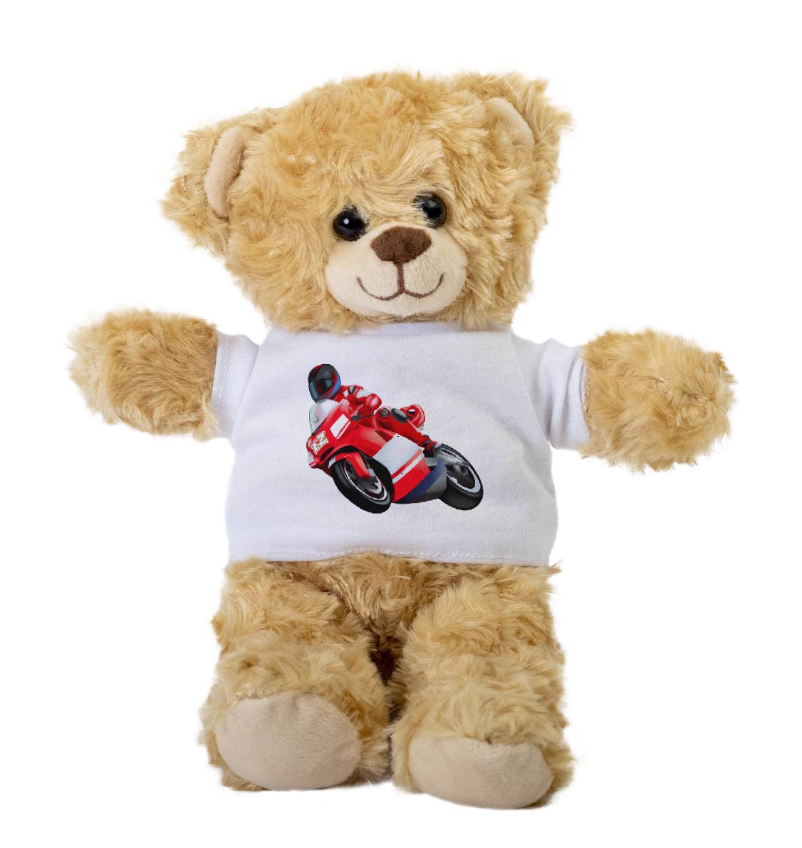 teddy bear on motorcycle