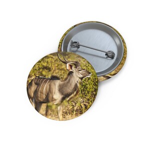 以下が含まれることがあります： 長い螺旋状の角を持つ大型のアンテロープであるクードゥーのクローズアップ。クードゥーは背の高い草のフィールドに立っています。クードゥーは右を向いており、頭は少し上を向いています。動物の毛皮は薄い茶色で、角は濃い茶色です。