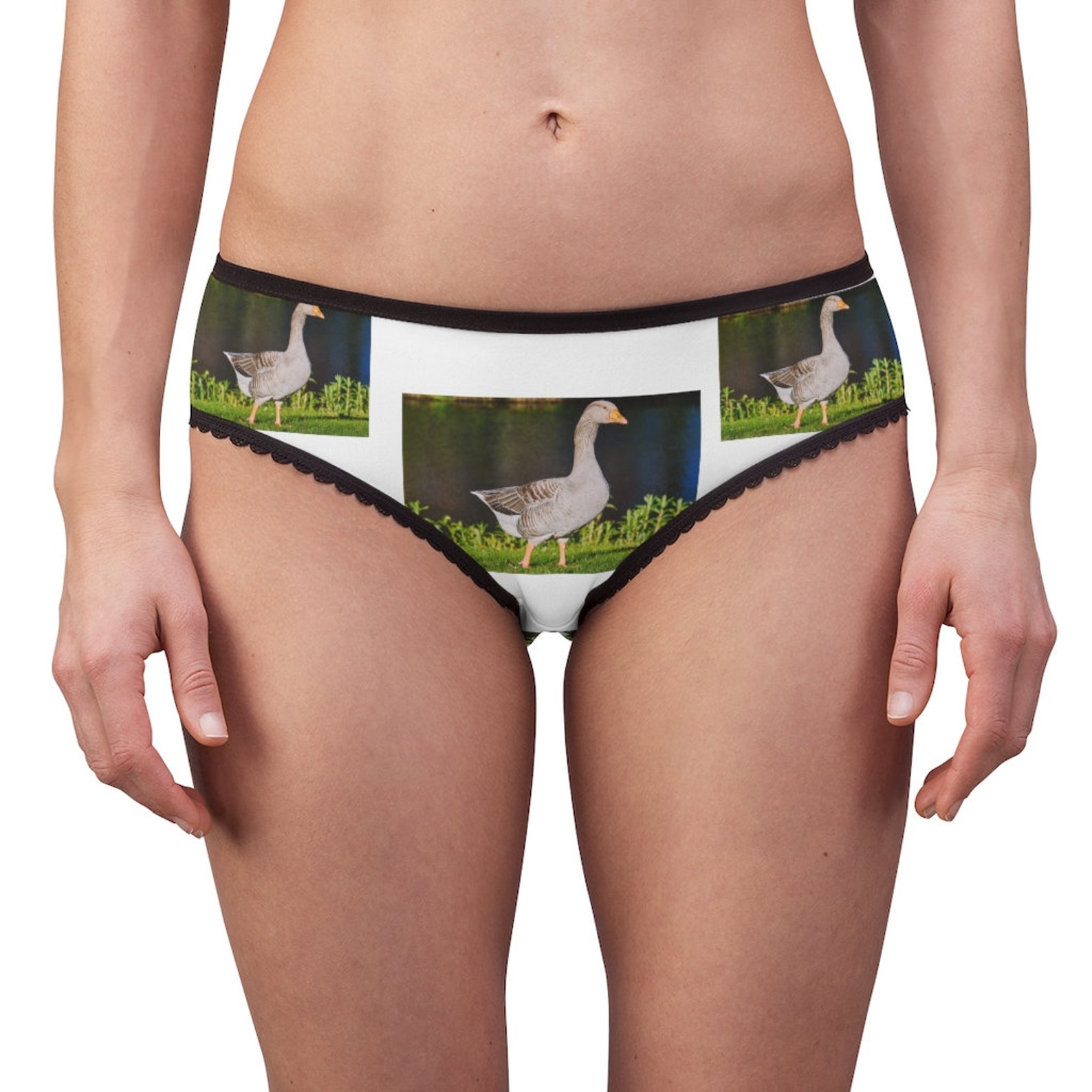 Grey Goose Panties Grey Goose Underwear Briefs Cotton Etsy UK