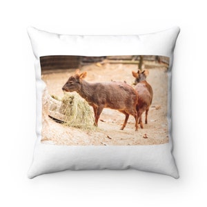 Pudu Pillow - Pudu Throw Pillow - Custom Throw Pillow - Pillow Cover - Gift Idea - Room Decor