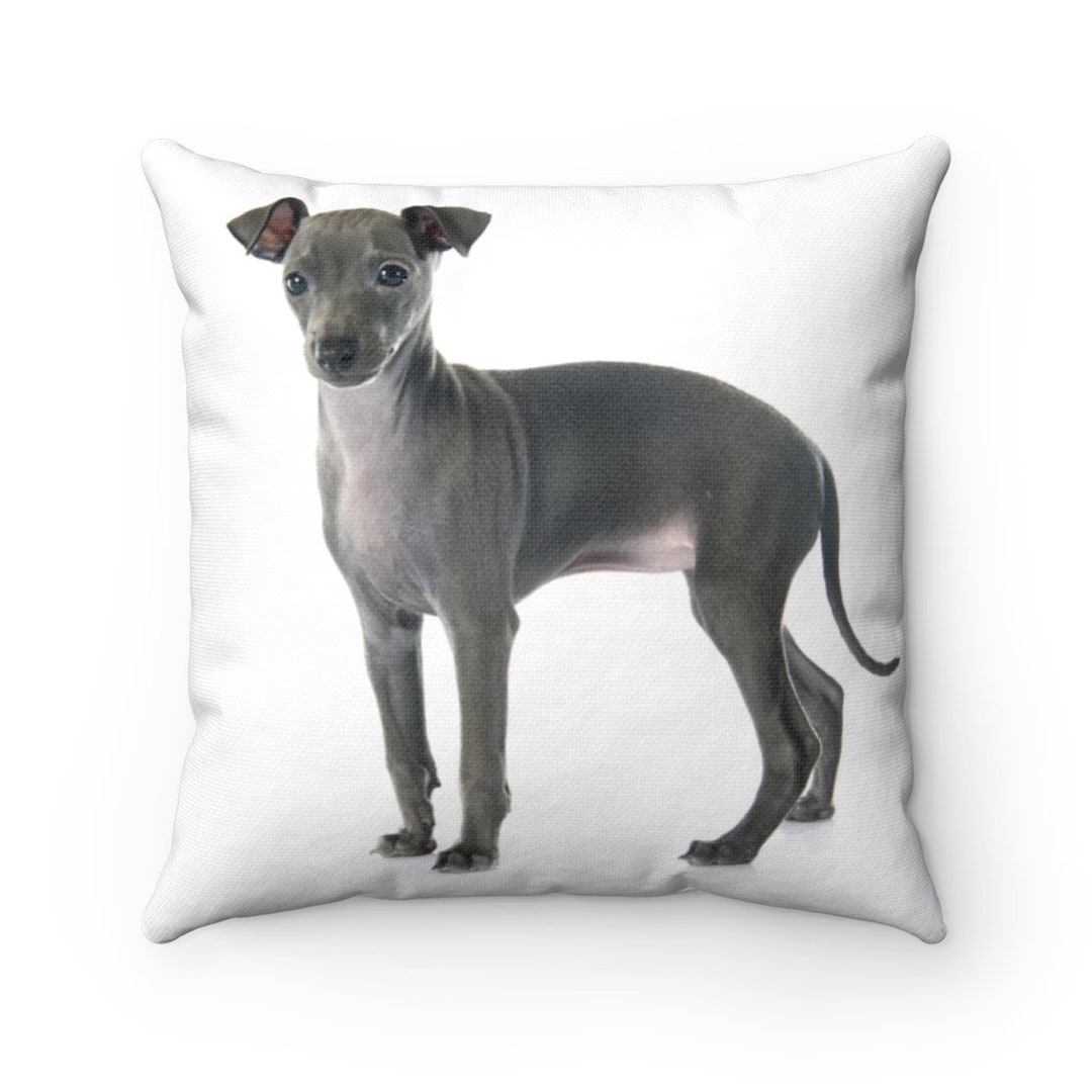 Greyhound Throw Puppy Italian Greyhound Pillow Puppy Italian Greyhound Throw Pillow ...