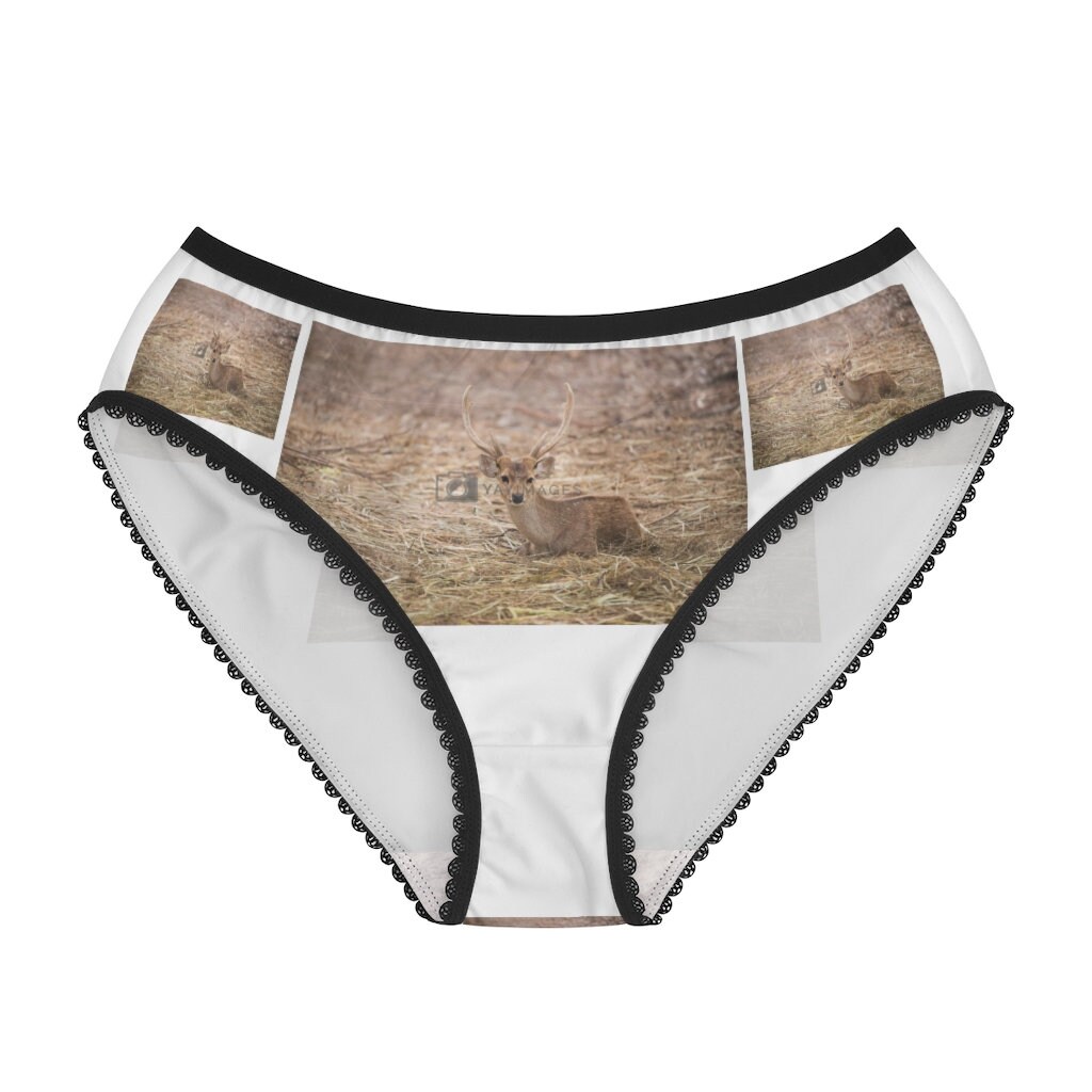 Oh Deer Mid Waist Cheeky Hipster Panties for Women, Xs-xl/custom Sizes Womens  Underwear, Sexy Cute Lingerie Panties -  Canada