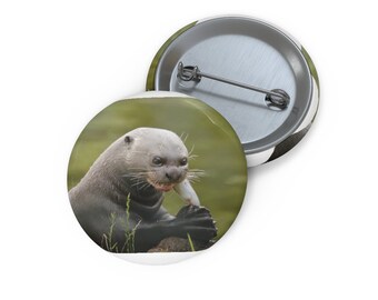 May include: A close-up of a giant otter with a light gray and brown coat, sitting on a rock in the water. The otter has its mouth open and appears to be eating a fish.