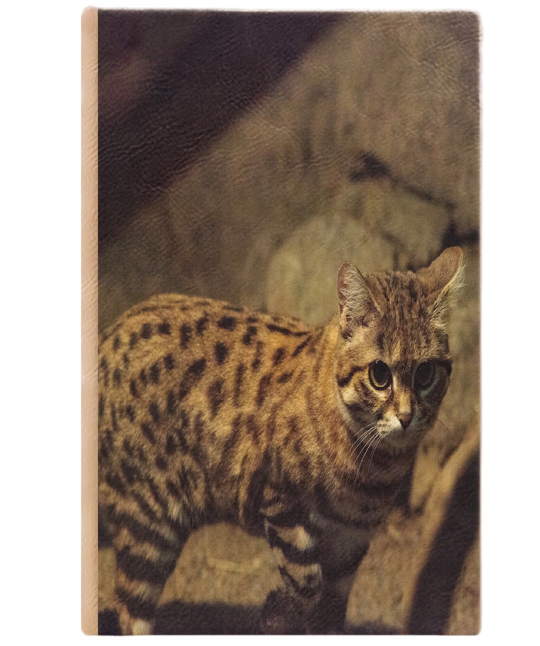 Notebook, Journal ,ruled Line Pages, Gift Idea