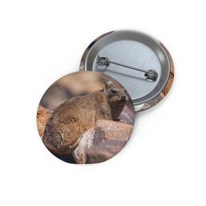 Puede incluir: Un botón redondo con un damán de roca marrón descansando sobre una roca. El botón tiene un alfiler metálico en la parte posterior y un acabado brillante. La imagen es un primer plano del animal en su hábitat natural.