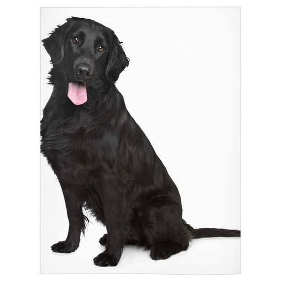 Flat coat top retriever gifts