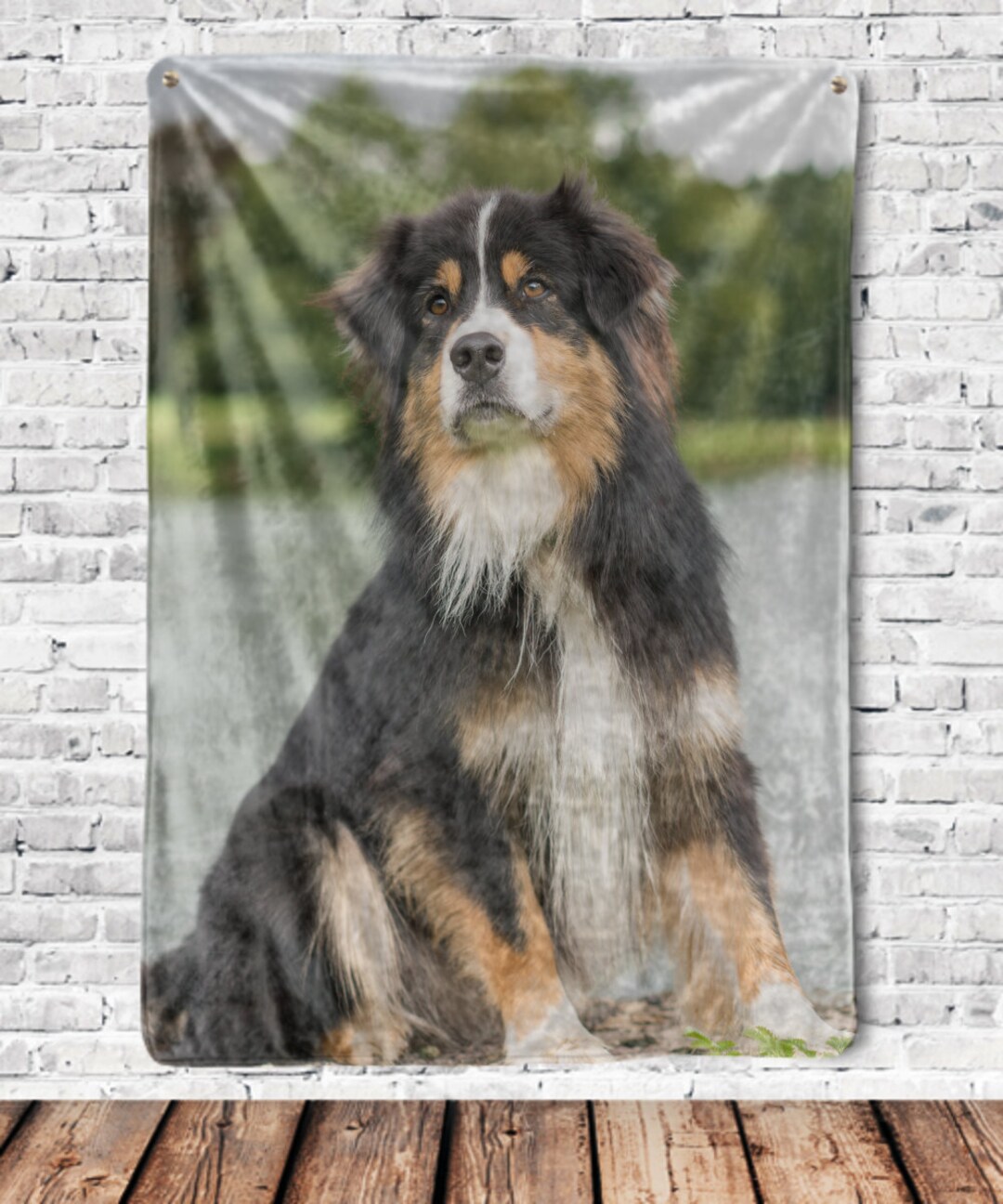 Australian Shepherd Blanket, Australian Shepherd Gifts Blanket, Custom