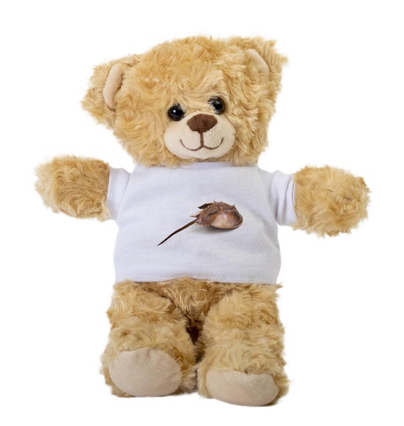 horseshoe crab stuffed animal