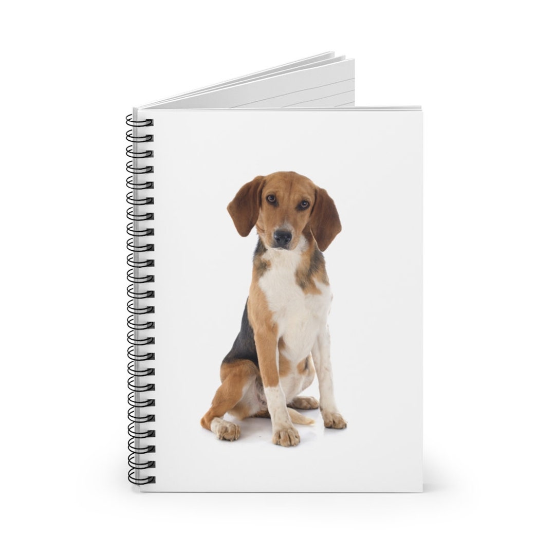 Beagle Notebook Beagle Harrier Notebook Beagle Harrier Journal Ruled Line Pages Gift ...