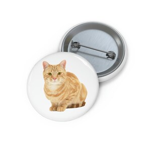 Orange Tabby Katze Pin, Orange Tabby Katze Button, Haustier Geschenkidee, Geschenk für Katzenliebhaber, Button Set, Revers