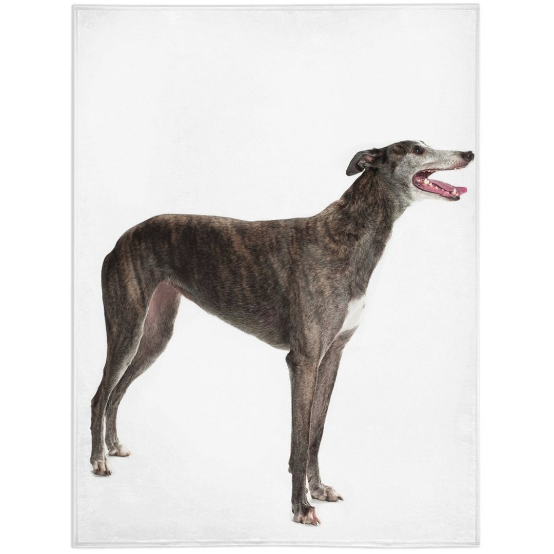 Sideways Standing Greyhound Blanket Sideways Standing Etsy UK