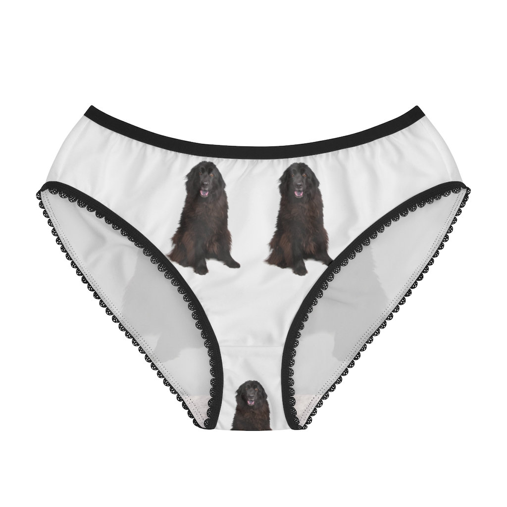 DOMIKING Vintage French Bulldog Womens Underwear Stretch Bikini