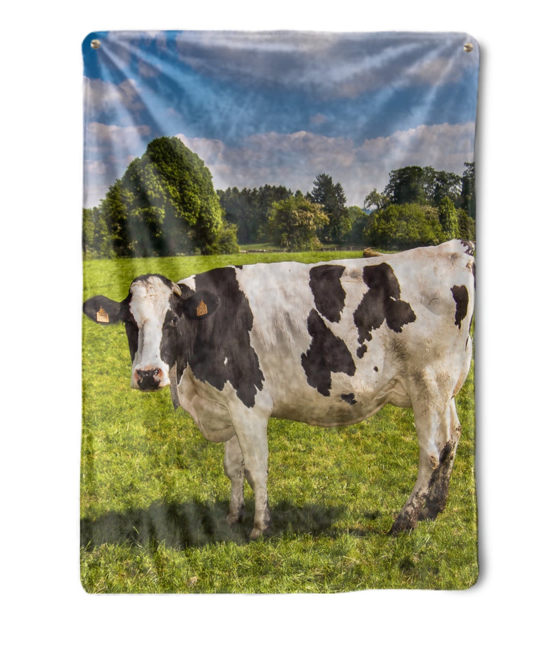 Cow Blanket Cow Throw Blanket Cow Fleece Blanket Etsy