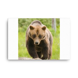 Grizzly Bear Canvas, Grizzly Bear Wall Canvas Print, Grizzly Bear Decor, Portrait, Wall Art, Artwork Wall Hanging