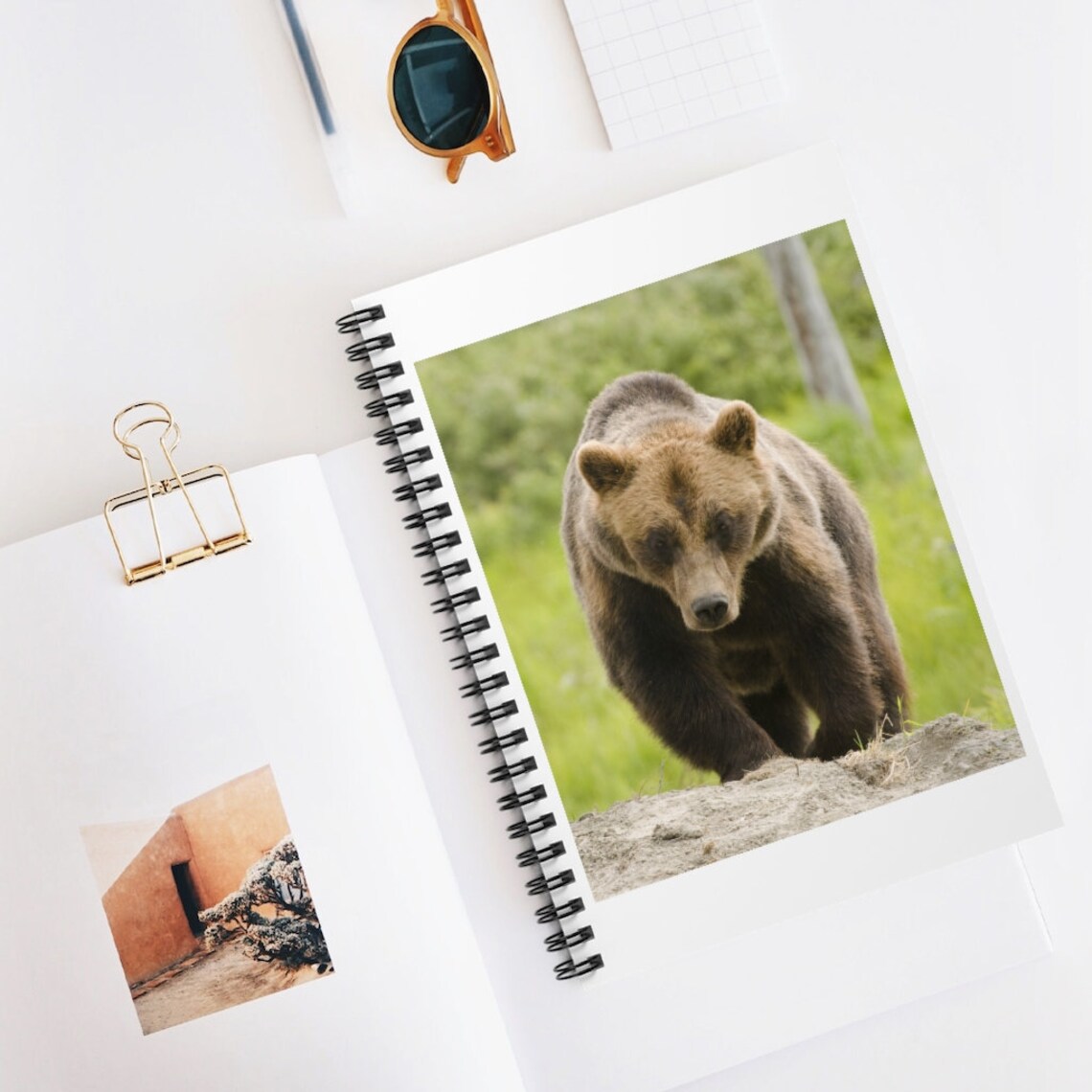 Grizzly Bear Notebook Grizzly Bear Journal Ruled Line Etsy
