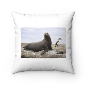 South American Sea Lion  Pillow -  South American Sea Lion  Throw Pillow - Custom Throw Pillow - Pillow Cover - Gift Idea - Room Decor