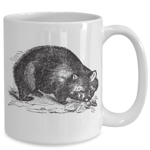 Mug gravure vintage wombat commun ou vombatus ursinus, mug gravure vintage wombat commun ou vombatus ursinus, tasse à café gravure vintage wombat commun ou vombatus...