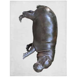 Pygmy Hippo Isolated Blanket, Pygmy Hippo Isolated Lover Gift, Fleece Blanket, Gifts, Personalized Blanket
