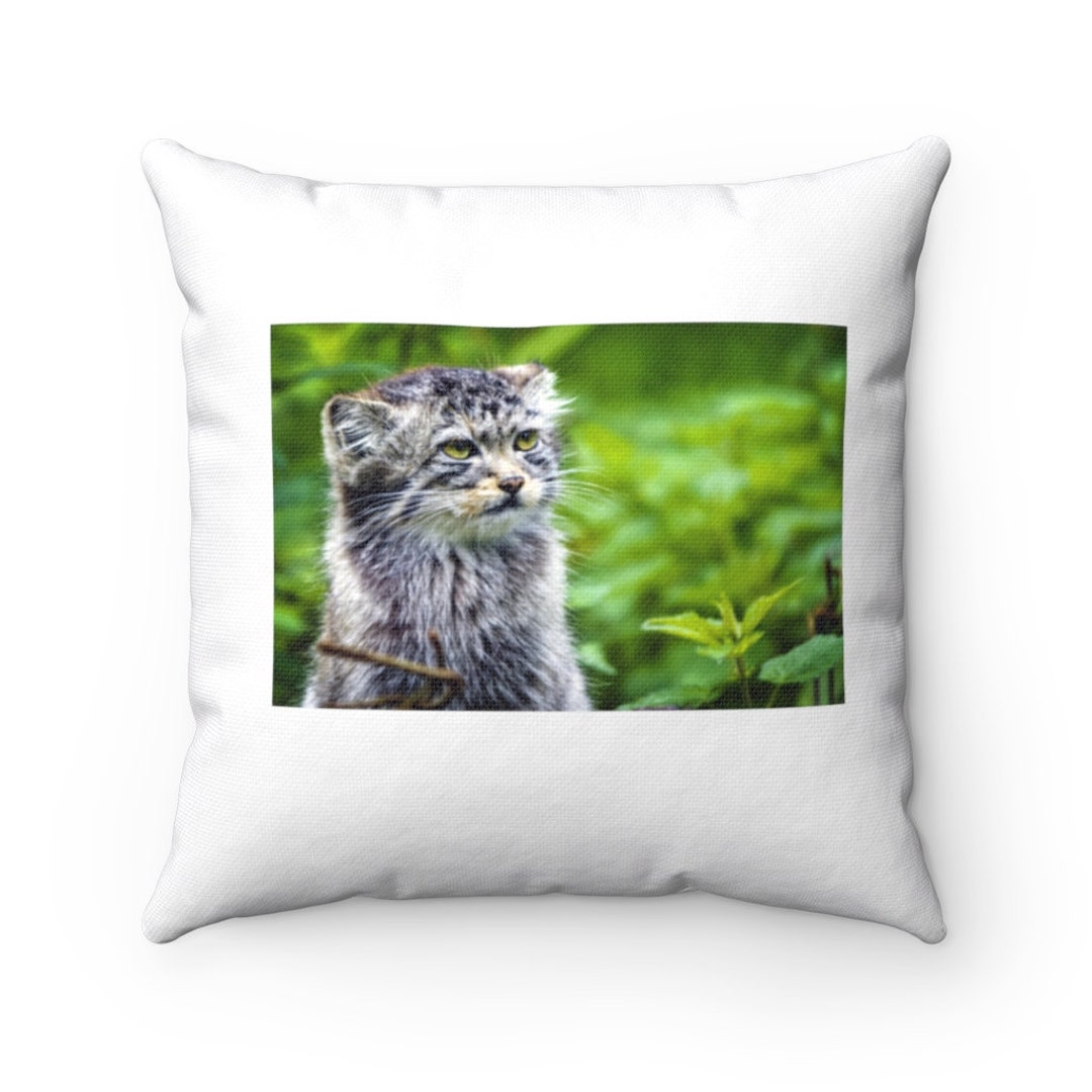 Pallas Cat Pillow Pallas Cat Throw Pillow Custom Throw Pillow Pillow ...