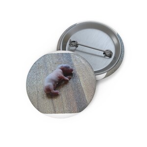 May include: A small, gray, hairless baby squirrel lying on a wooden surface.