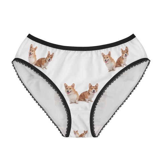 Corgi boxer shorts top