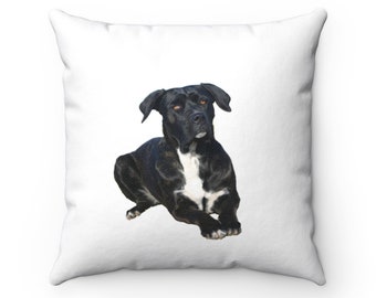 Multicolor 18x18 Cane Corso Gifts & Cane Corso Accessories Weightlifting I Deadlift Fitness I Gym Cane Corso Throw Pillow Multicolor 18x18 Cane Corso Gifts & Cane Corso Accessories Weightlifting I Deadlift Fitness I Gym Cane Corso Throw Pillow