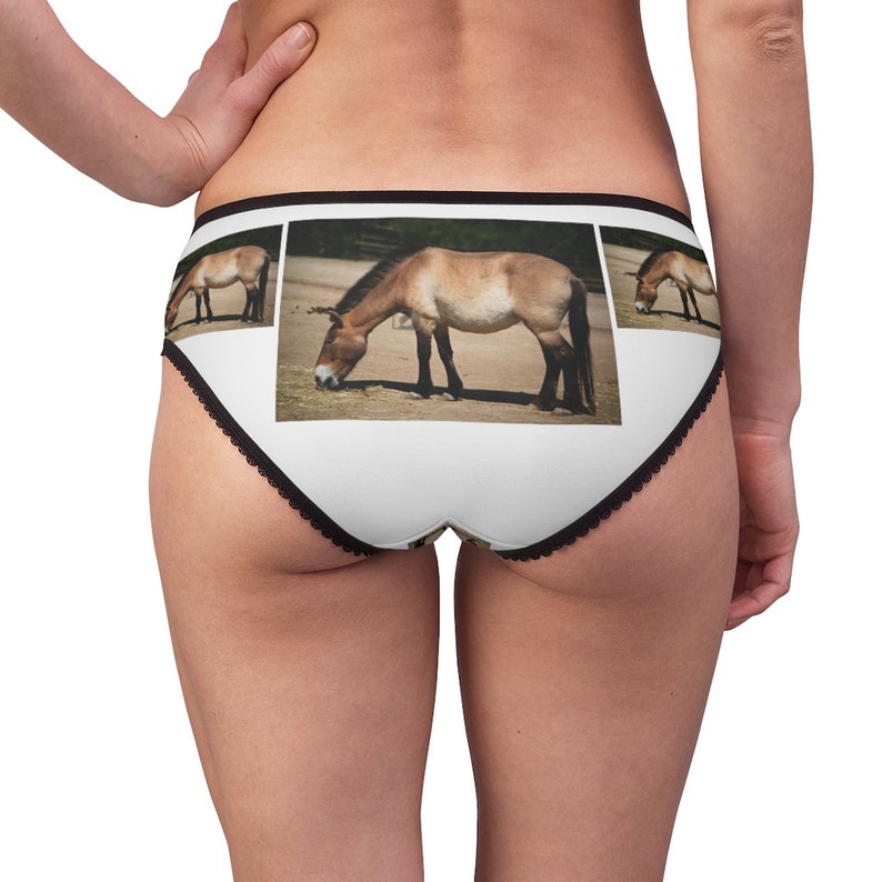 Horse Przewalskii Panties Horse Przewalskii Underwear Etsy