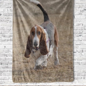 Basset Hound Blanket, Throw Blanket, Dog Lover Gift, Dog Blanket, Housewarming Gift, Baby Blanket, Pet Loss Gifts, Home Decor