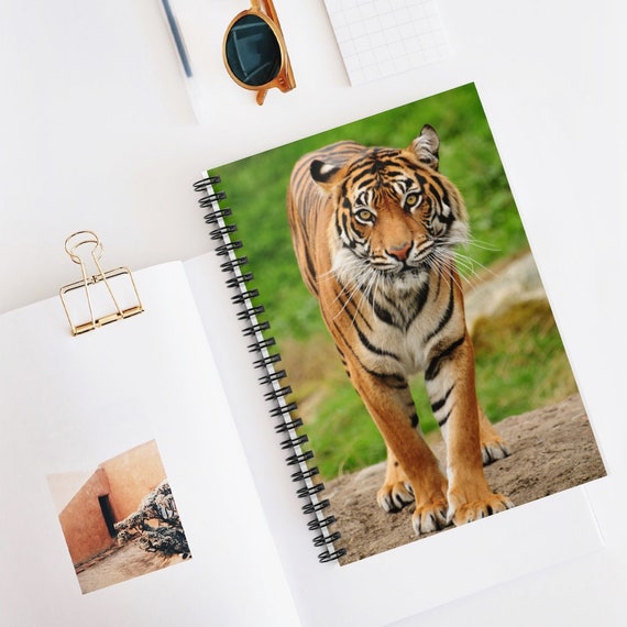 Bengal Tiger Notebook Bengal Tiger Journal Ruled Line 